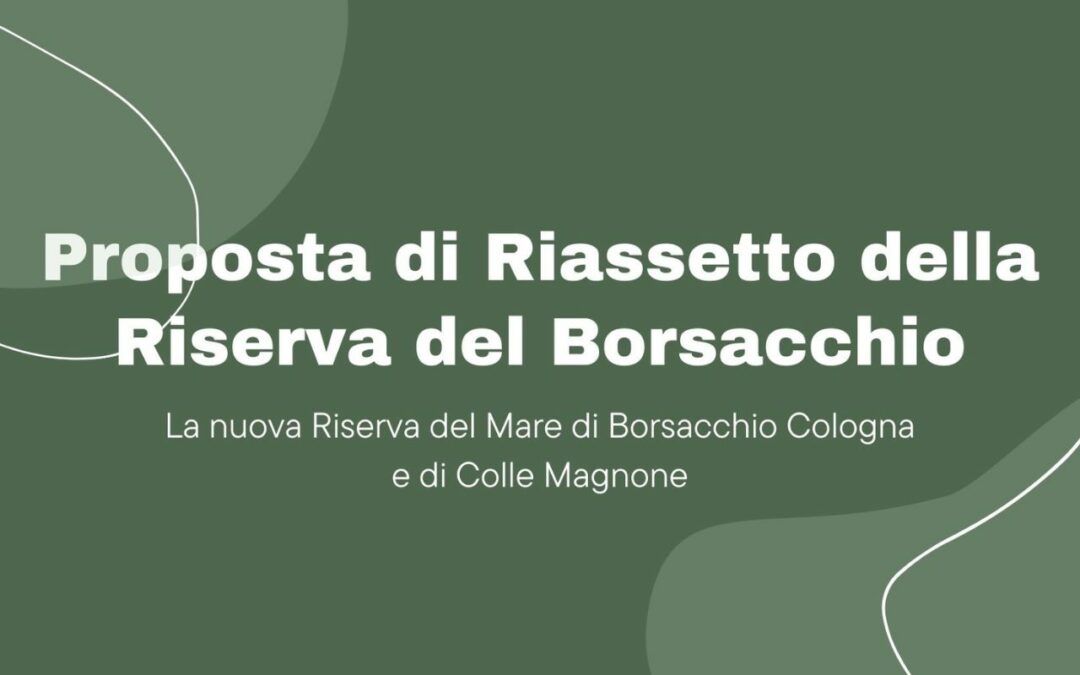 Proposta di riassetto della Riserva del Borsacchio