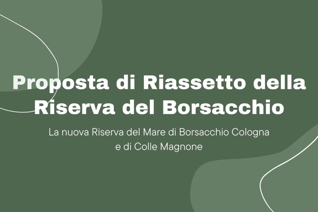 Proposta di Riassetto della Riserva del Borsacchio