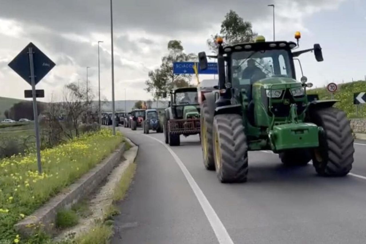 Riforma della Riserva del Borsacchio