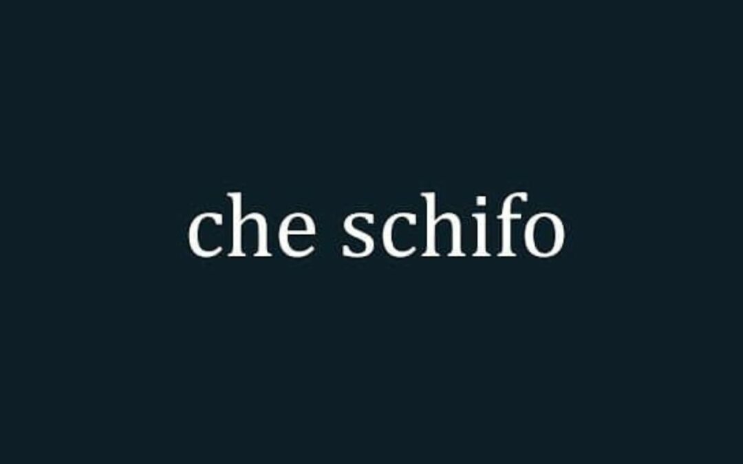 Che Schifo – COMUNICATO STAMPA del 17-01-2024